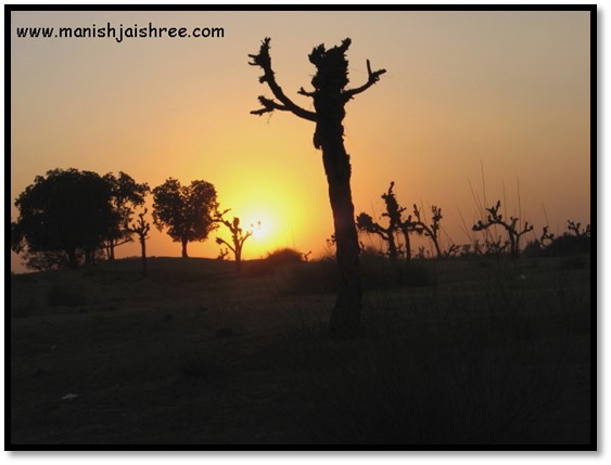 The Sunset in Nawalgarh countryside