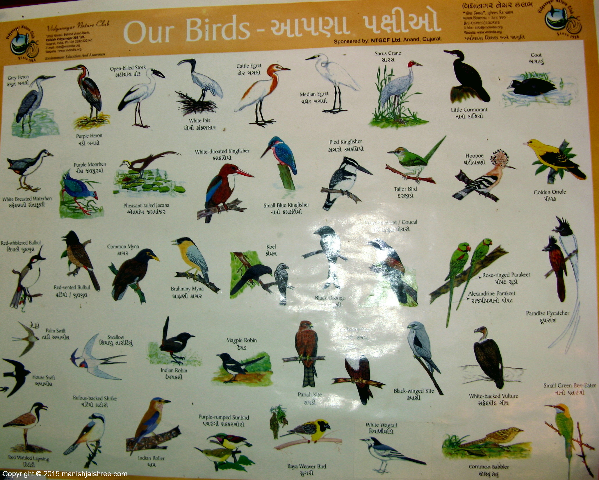 The Bird Chart @ Gir Jungle Resort